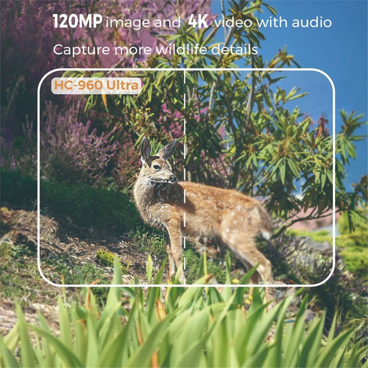 Hunting And Outdoor Shows - 更新しました。 屋外用4G 120MP 4Kライブショー対応野生動物カメラ スマホアプリ対応 防水